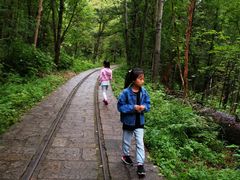 -五营红松林海景区