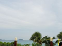 -渔家火锅·海鲜自助餐·演艺(亚龙湾天域酒店)