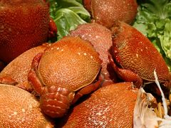 老虎蟹-城市名人酒店喝彩西餐厅(人民南路店)