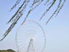 -无锡蠡湖国家湿地公园-蠡园