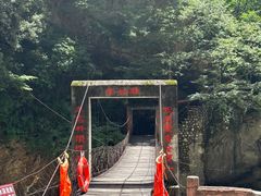 -黑河国家森林公园