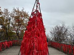 -帽儿山国家森林公园