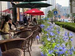 -酒池星座(深圳湾后海汇店)