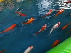 -太白山御龙湾温泉