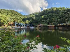 -西双版纳原始森林公园