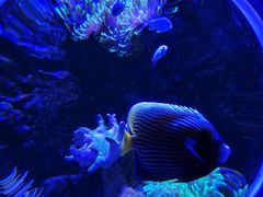 -太平洋海底世界