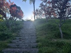 -广州市帽峰山景区