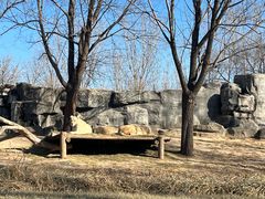 -北京野生动物园