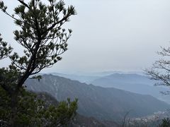 -王顺山国家森林公园