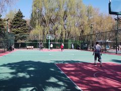 -黛秀湖公园