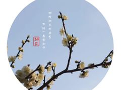 -无锡梅园公园