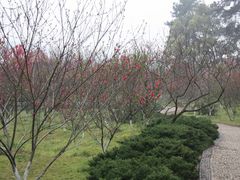 -常德桃花源景区