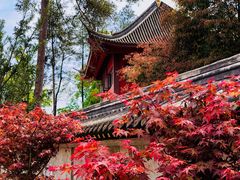 -保利石象湖景区
