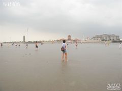 -碧海金沙