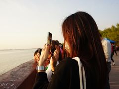 -宝安西湾红树林湿地公园