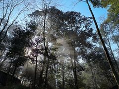 -中国大熊猫保护研究中心雅安碧峰峡基地