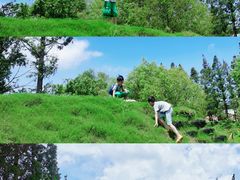 -上海长兴岛郊野公园