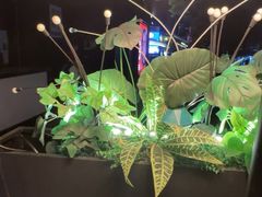 -SHARK鲨鱼餐吧(购物公园店)
