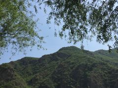 -下河湾农家乐