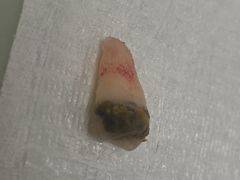 -上海市徐汇区口腔医院