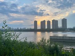 -长白岛森林公园