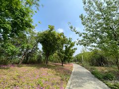 -白鹭湾湿地公园