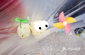 Handmade Mochi