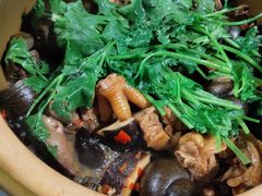 -食爺炭炉鸡煲·烧烤