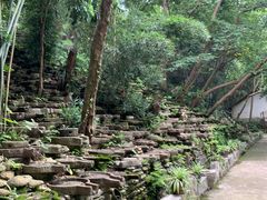 -美丽南方·老木棉匠园·团建烧烤·烤全羊