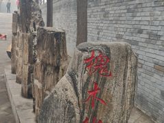 -大槐树寻根祭祖园