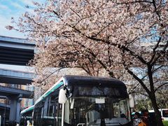 -南浦大桥长途旅游客运站