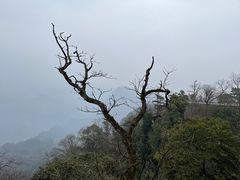 -青城山