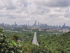 -火炉山森林公园