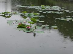 -范蠡湖公园
