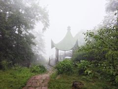 -莫干山风景区