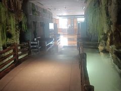 -御池园(顾村公园店)