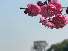 -良渚古城遗址公园