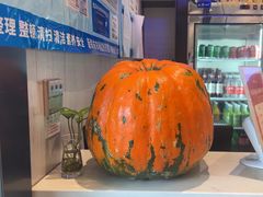 -阿庄新豫菜(南龙湖店)