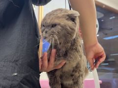 -FAELING PETS美天灵宠物(富力广场店)