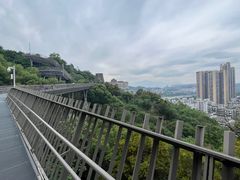 -福道