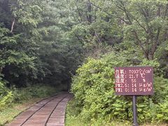 -五营国家森林公园