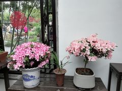 -个园