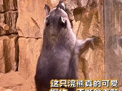 -正佳雨林生态植物园