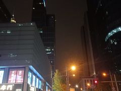 -中央公园(苏州工业园区)