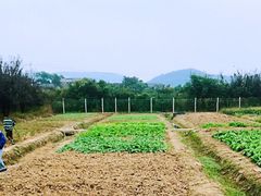 -呼吸森林·生态农庄农家乐私房菜