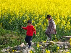 -中国天府农业博览园