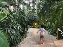 -中家鑫园温泉酒店鑫悦汤泉