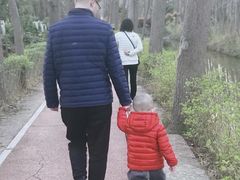 -合肥滨湖国家森林公园