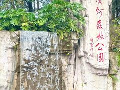 -广州市流溪河国家森林公园