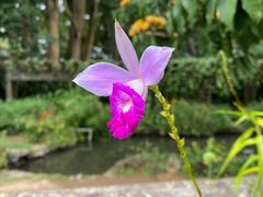 -中国科学院西双版纳热带植物园